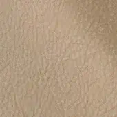2434832 - BEIGE